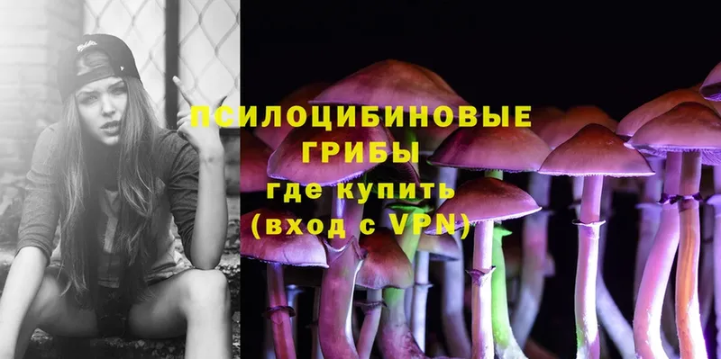 Галлюциногенные грибы Cubensis  Кострома 